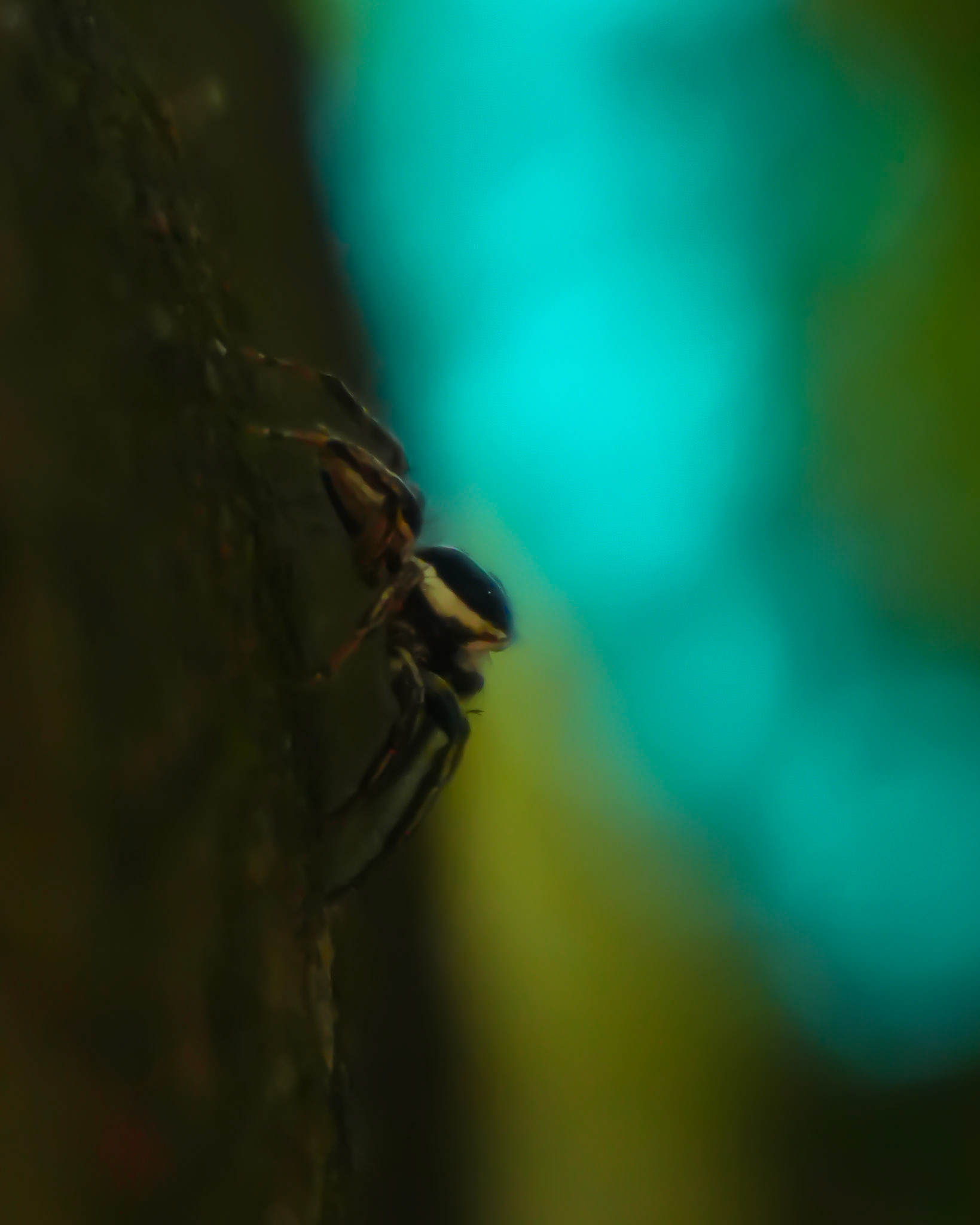 Sony ILCE-6700 | 50mm | f/5.6 | 1/160s | ISO 5000