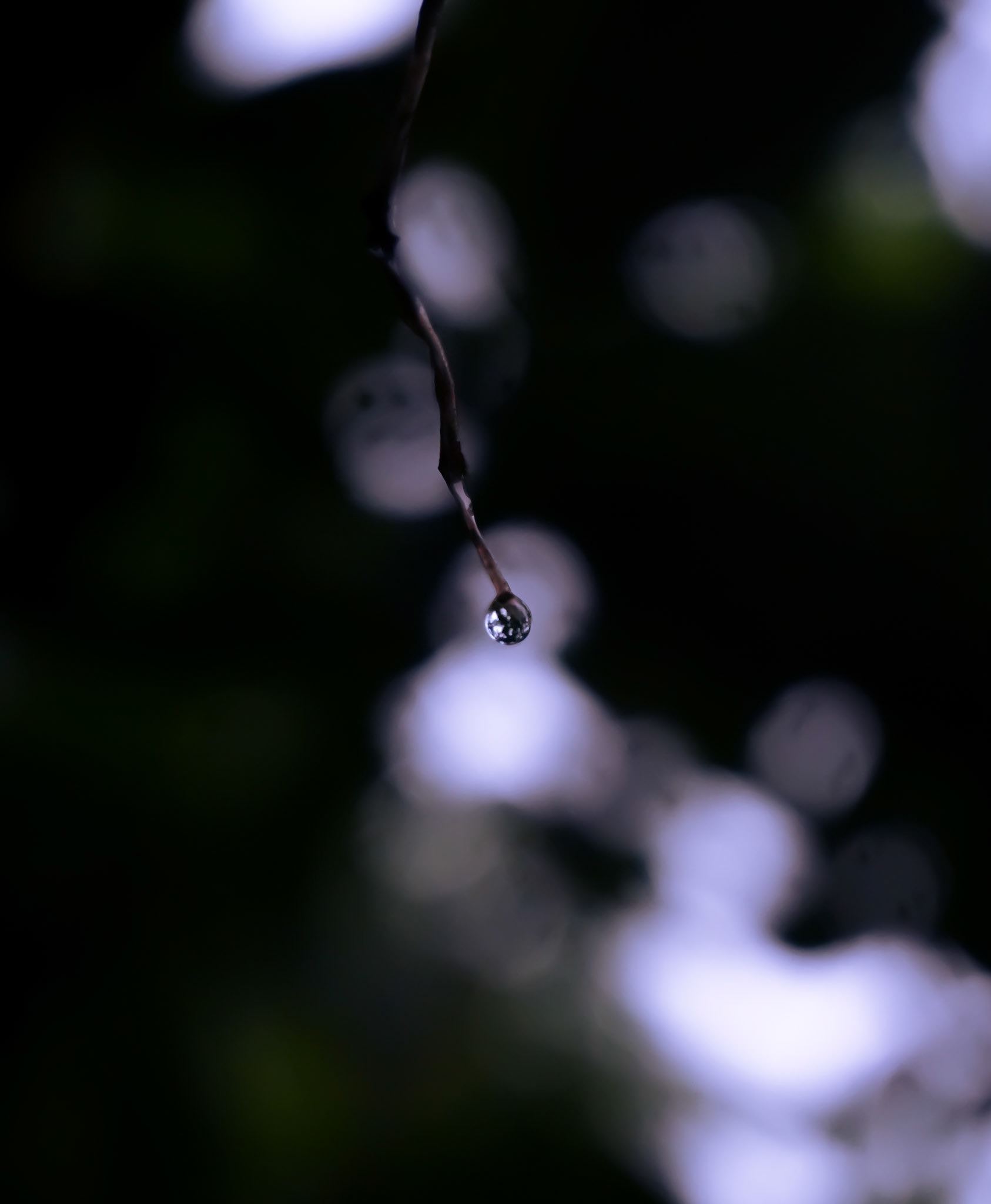 Sony ILCE-6700 | 50mm | f/5.6 | 1/90s | ISO 100