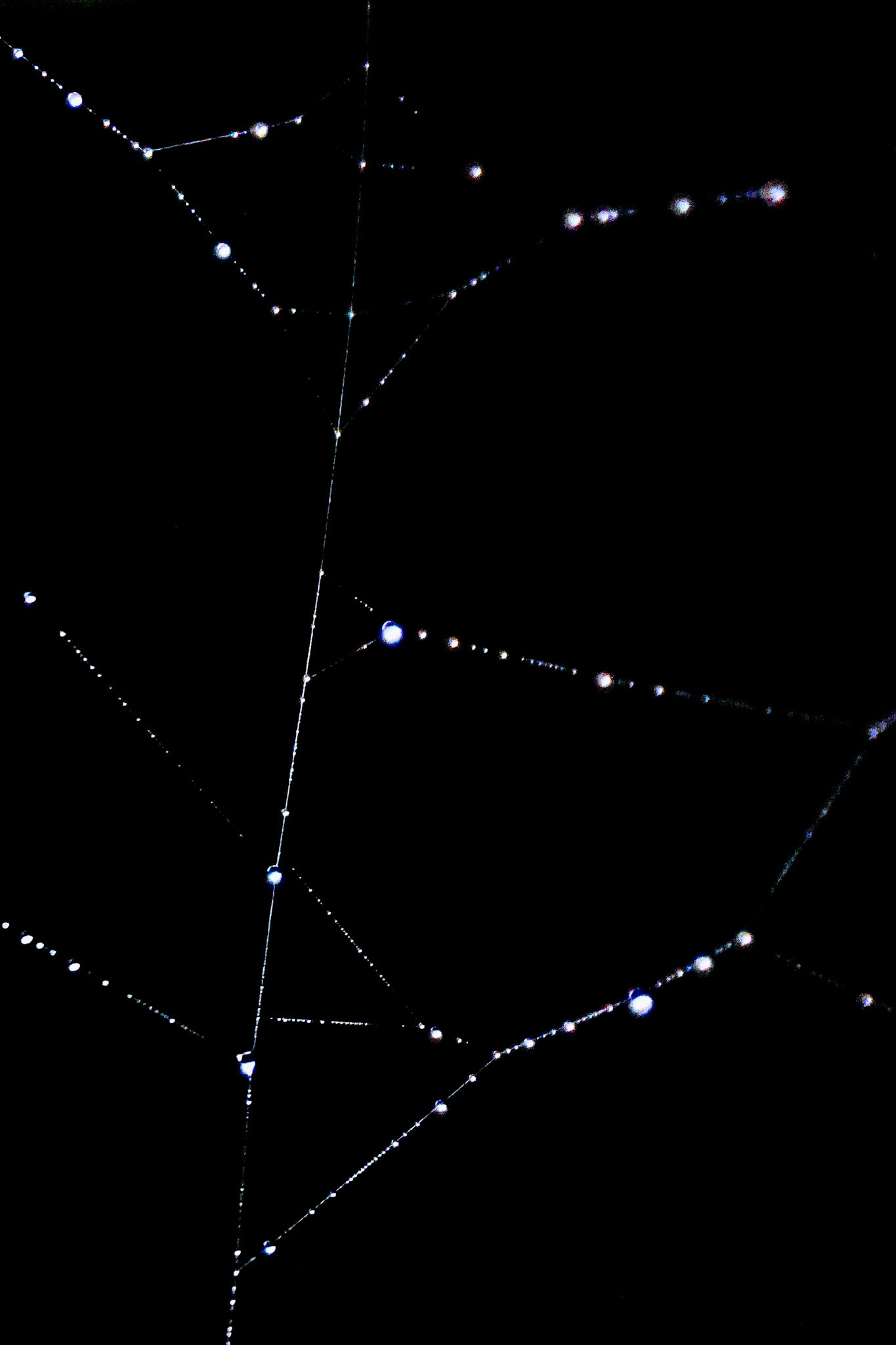 Sony ILCE-6700 | 50mm | f/5.6 | 1/250s | ISO 6400