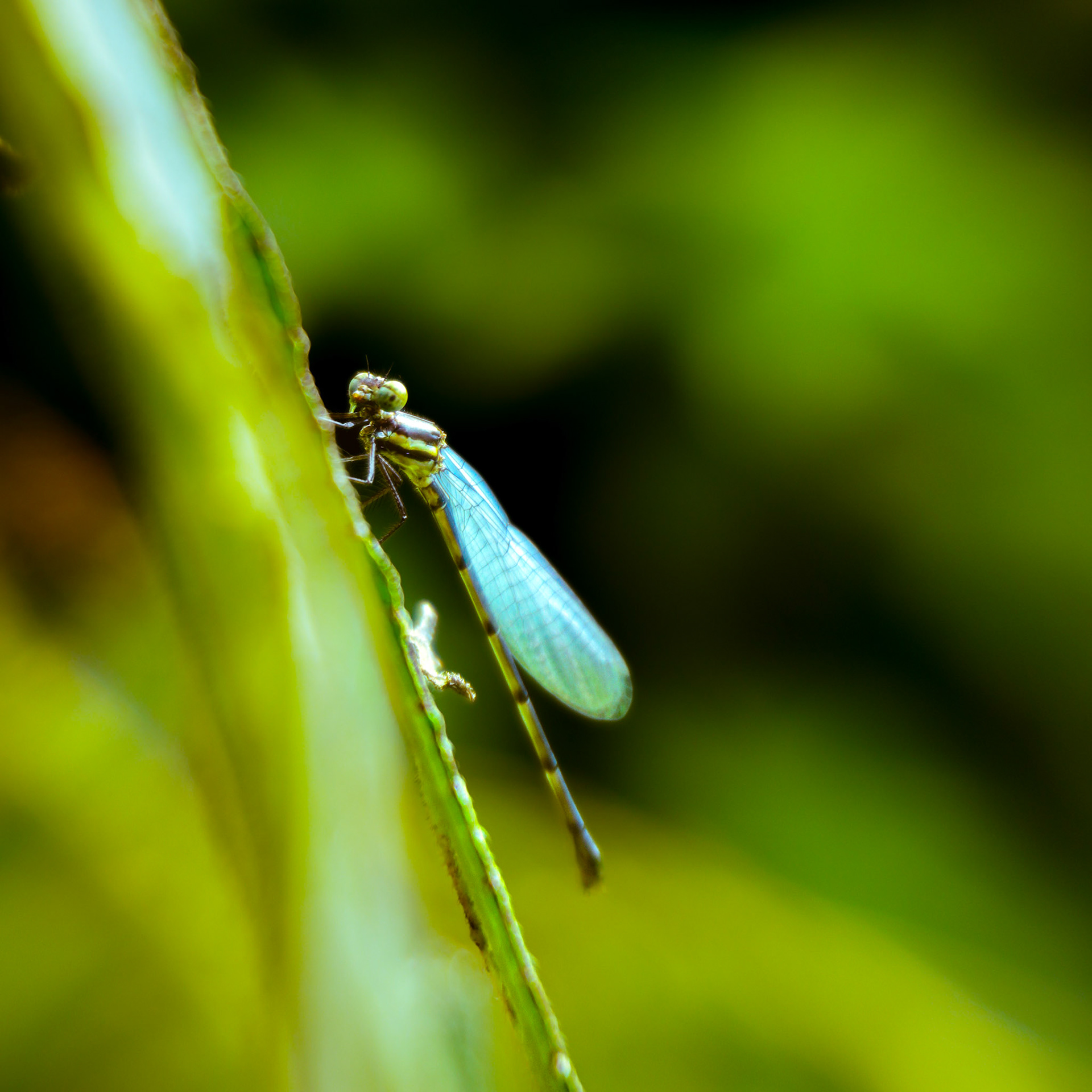 Sony ILCE-6700 | 50mm | f/5.6 | 1/90s | ISO 100