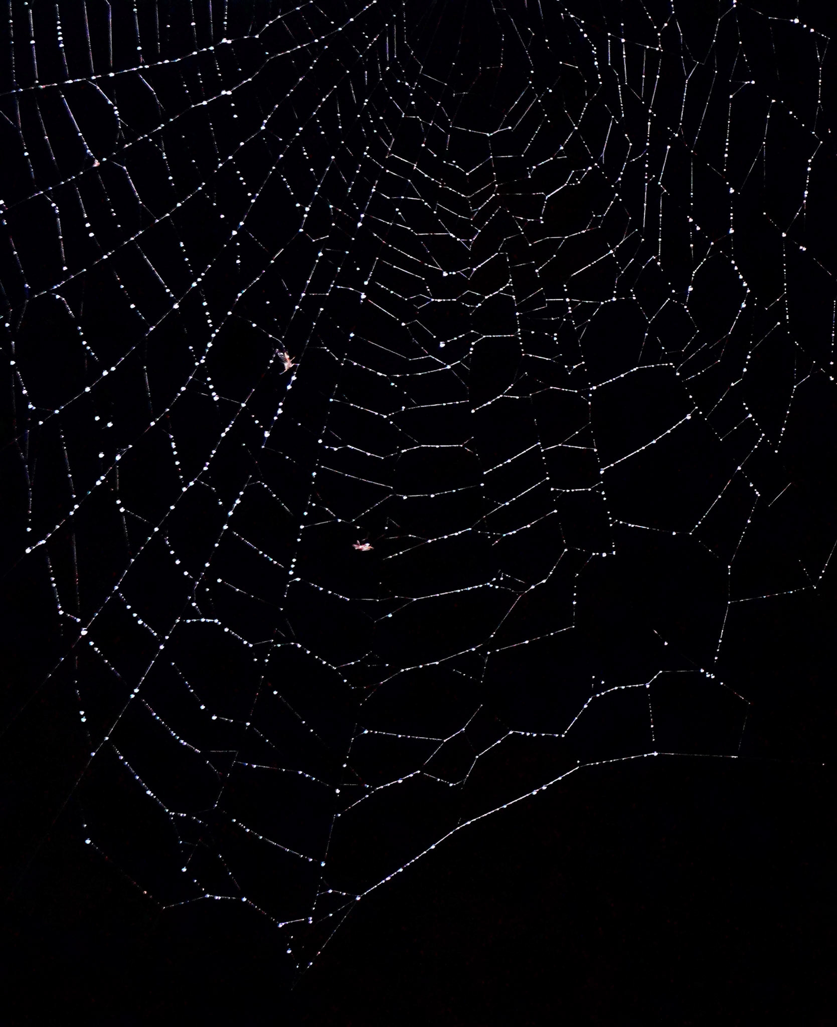 Sony ILCE-6700 | 50mm | f/5.6 | 1/250s | ISO 6400