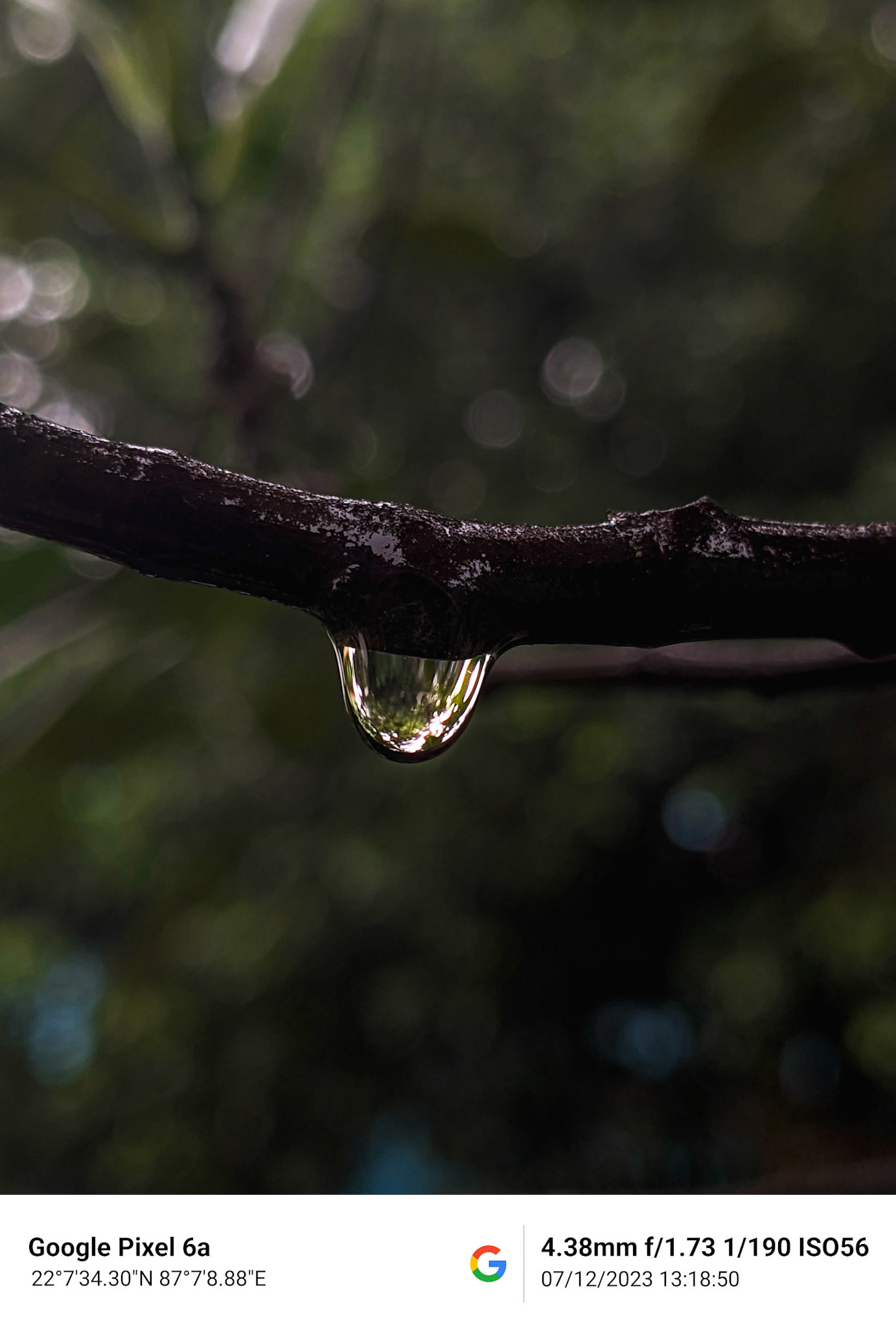 Google Pixel 6A | 4.38mm | f/1.73 | 1/190s | ISO 56