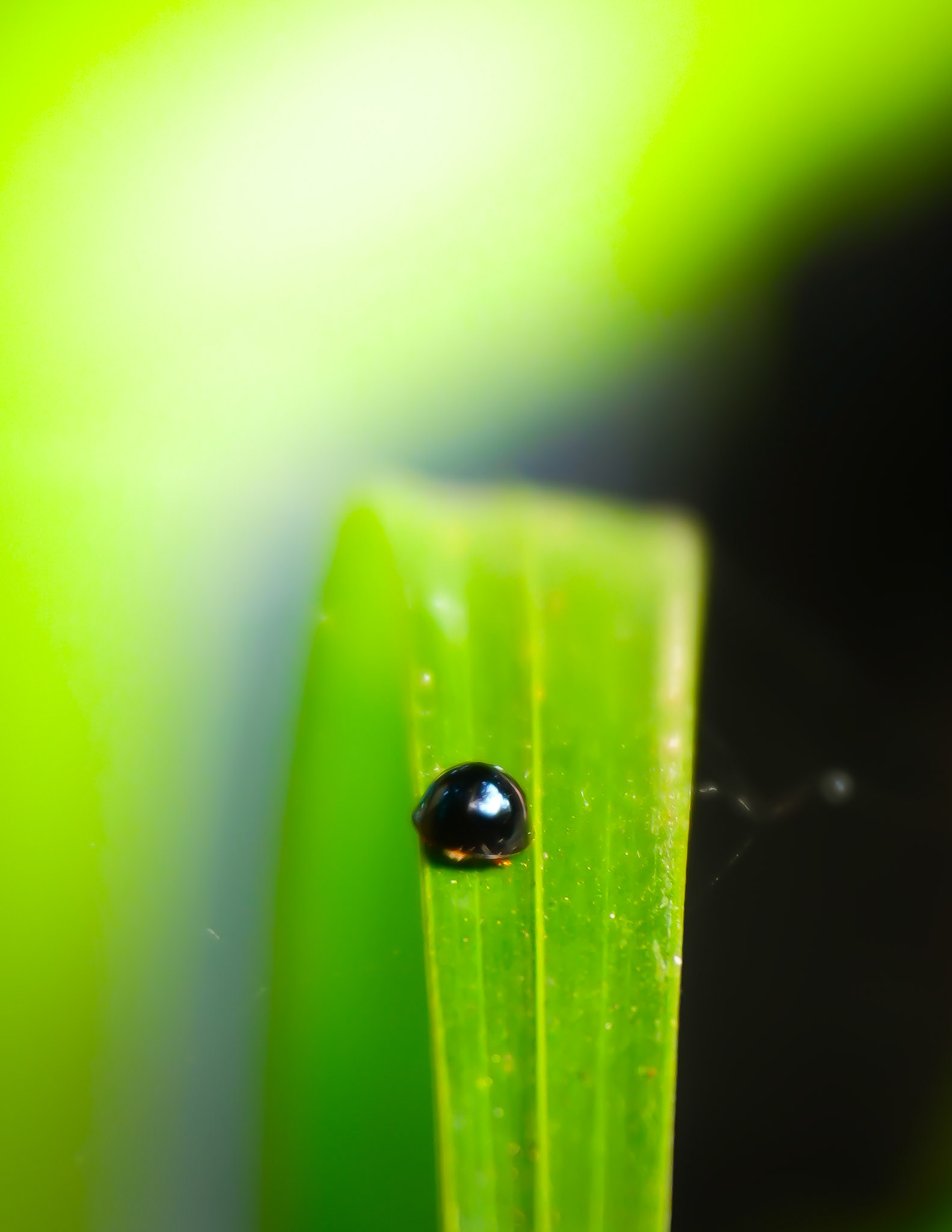 Sony ILCE-6700 | 50mm | f/5.6 | 1/160s | ISO 5000