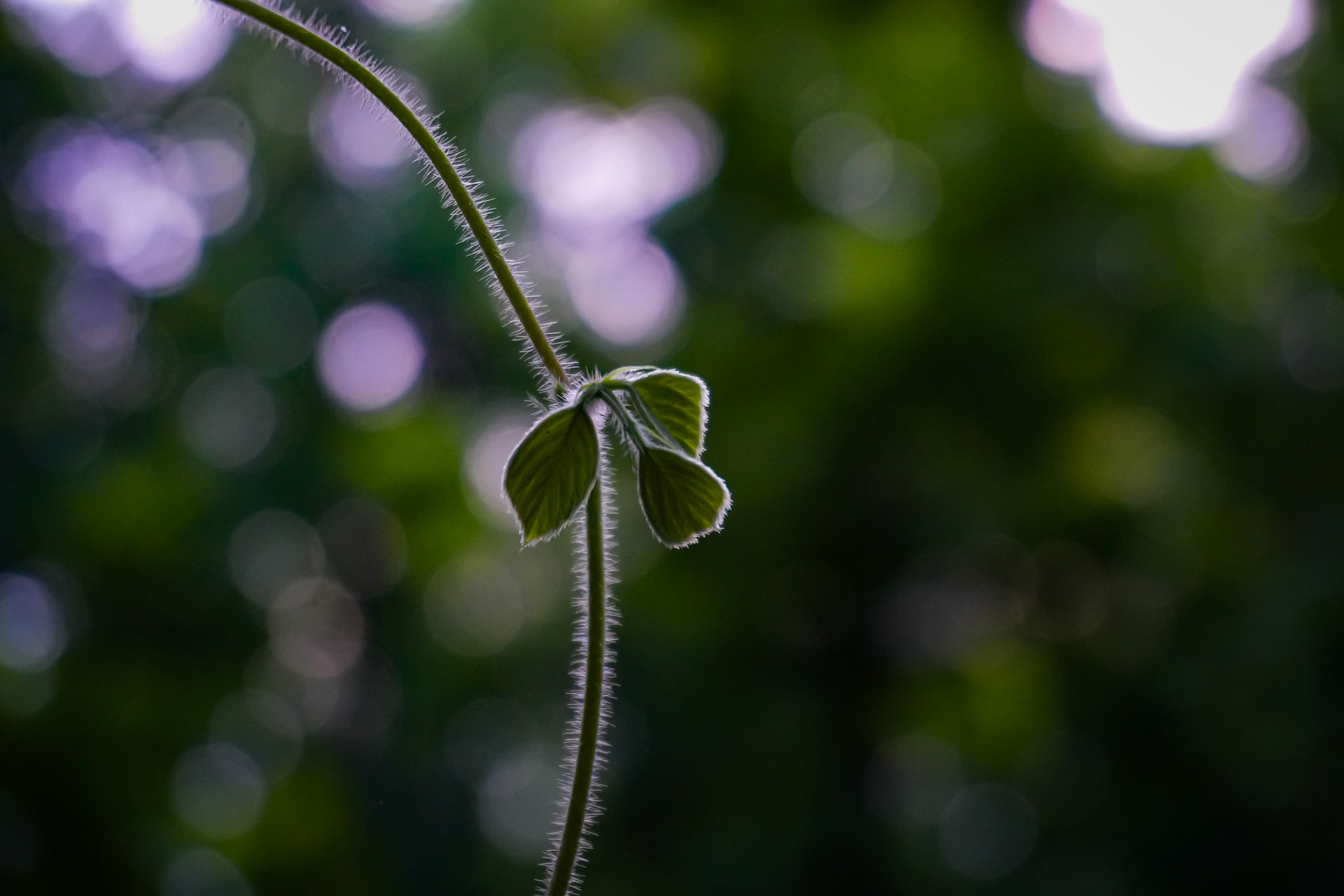 Sony ILCE-6700 | 50mm | f/5.6 | 1/160s | ISO 5000