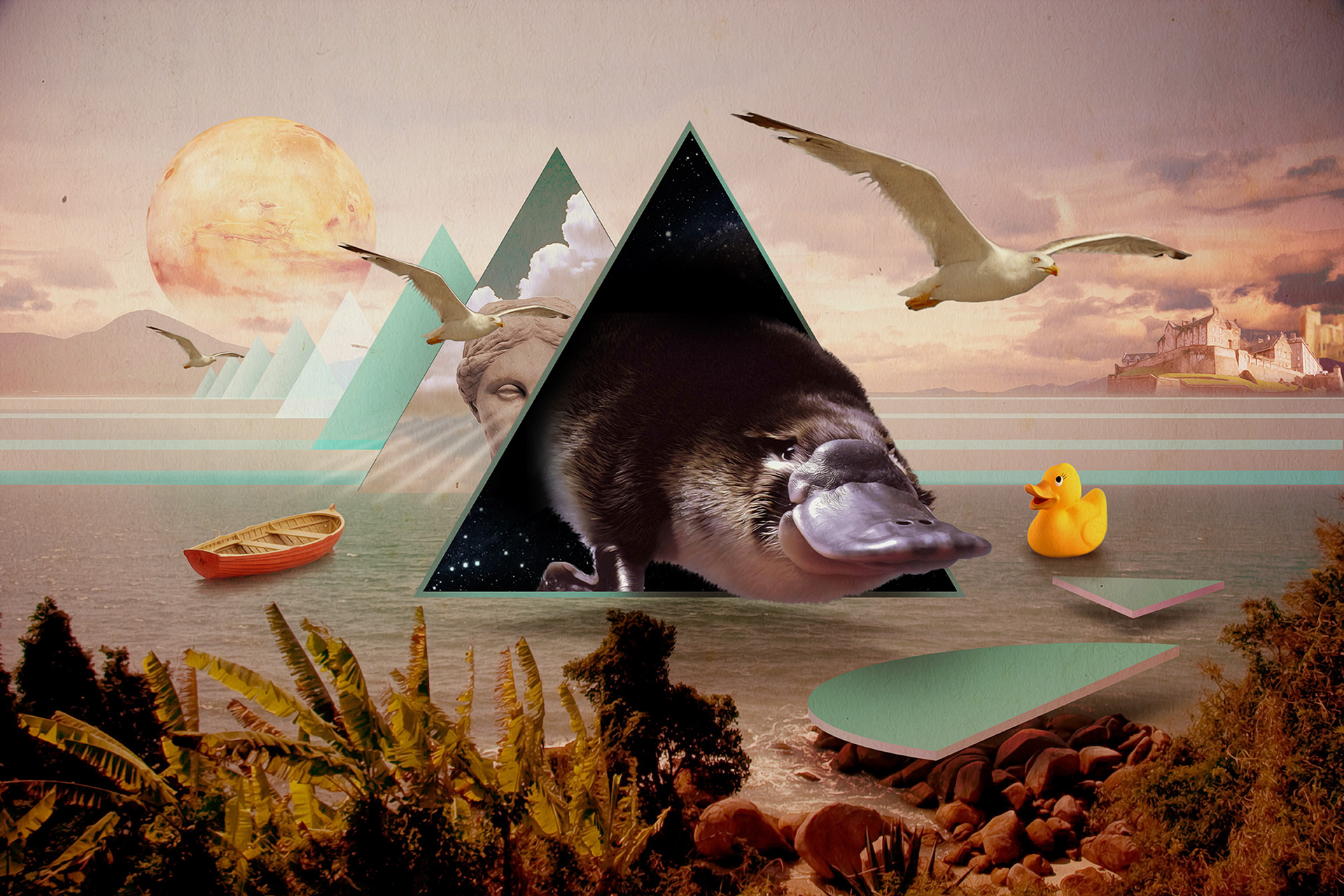 "Enigma of platypus / Enigma do Ornitorrinco" ©2008 Eduardo Galvani