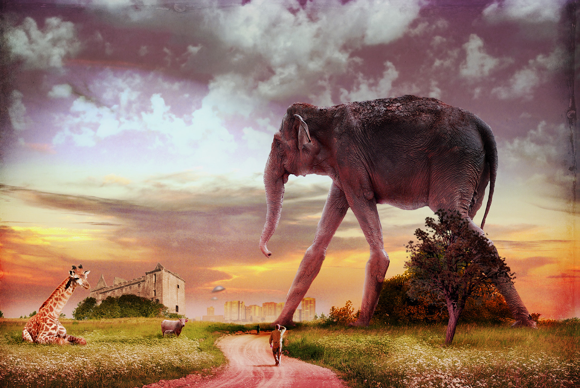 "Elephant memories / Memórias de elefante" ©2007 Eduardo Galvani