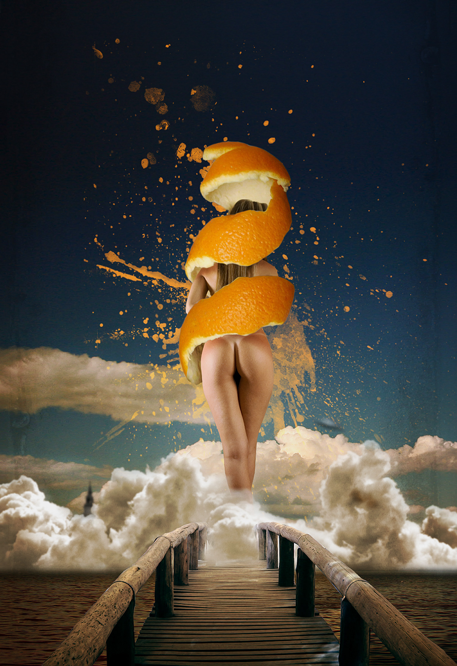 "Organic Orange / Laranja Orgânica" ©2006 Eduardo Galvani