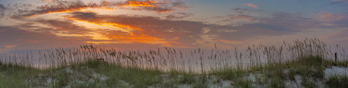 Sea Oats Sunrise