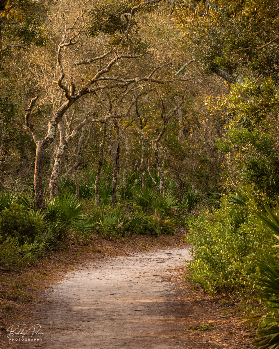 Beach Path Canopy