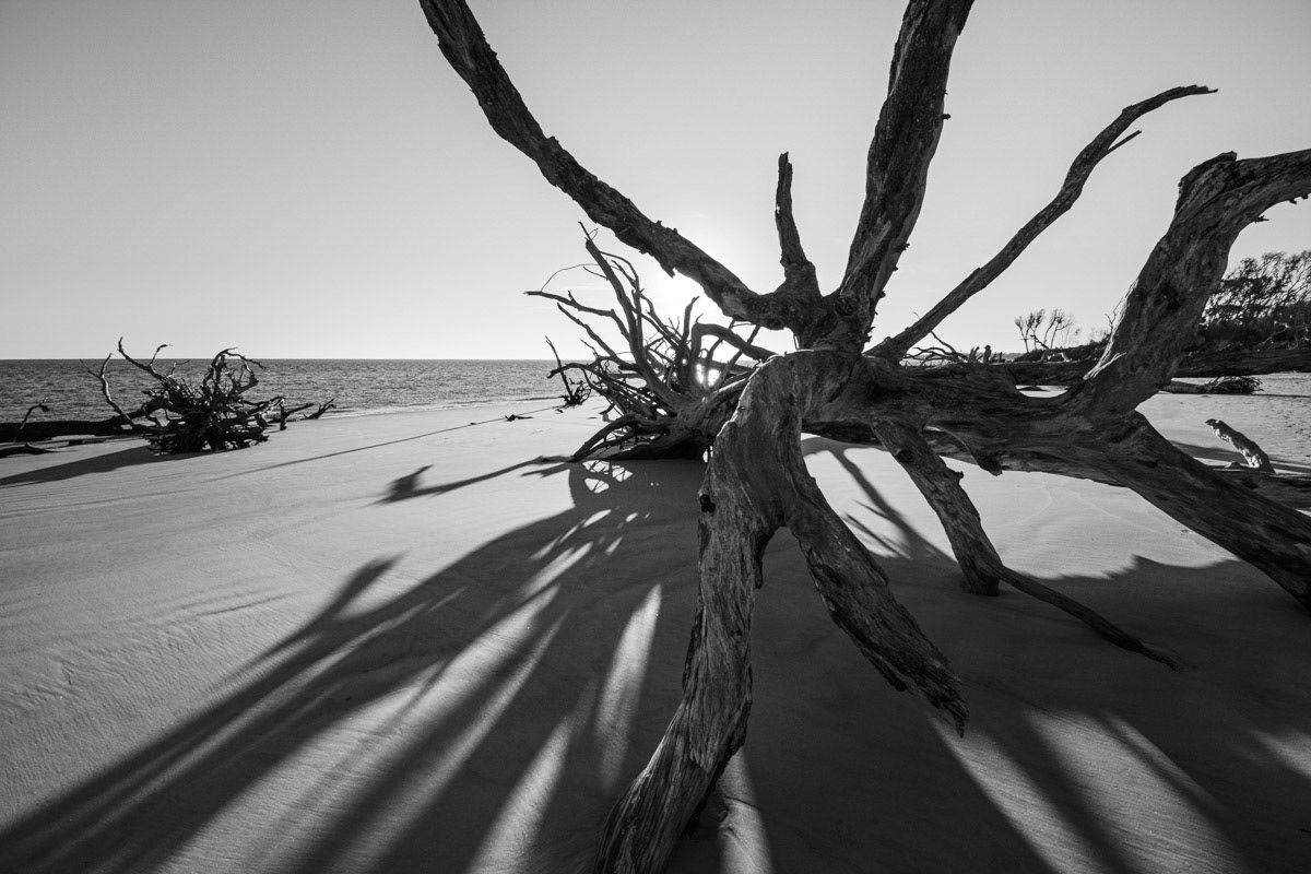 Reaching Out