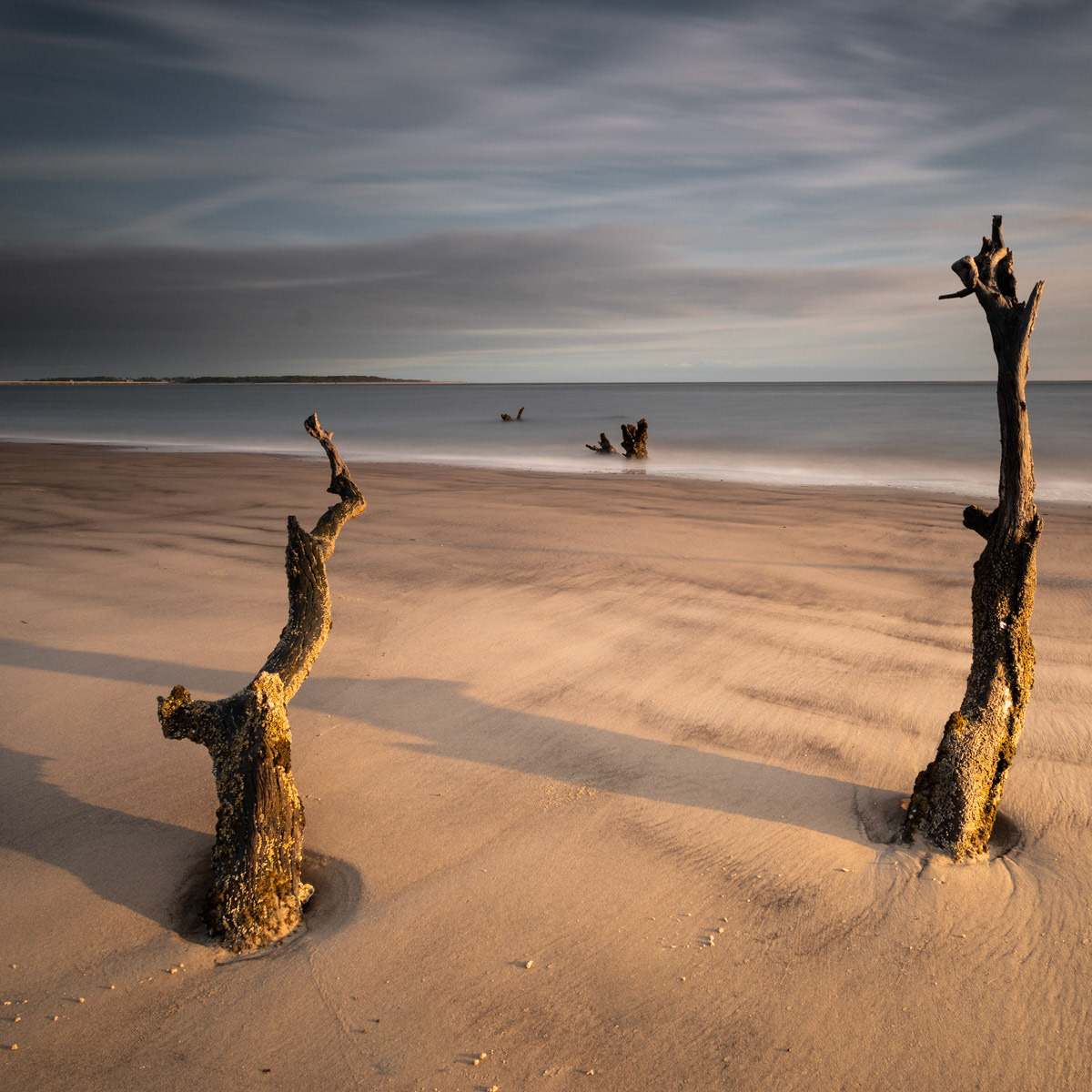 Beach Sentinels
