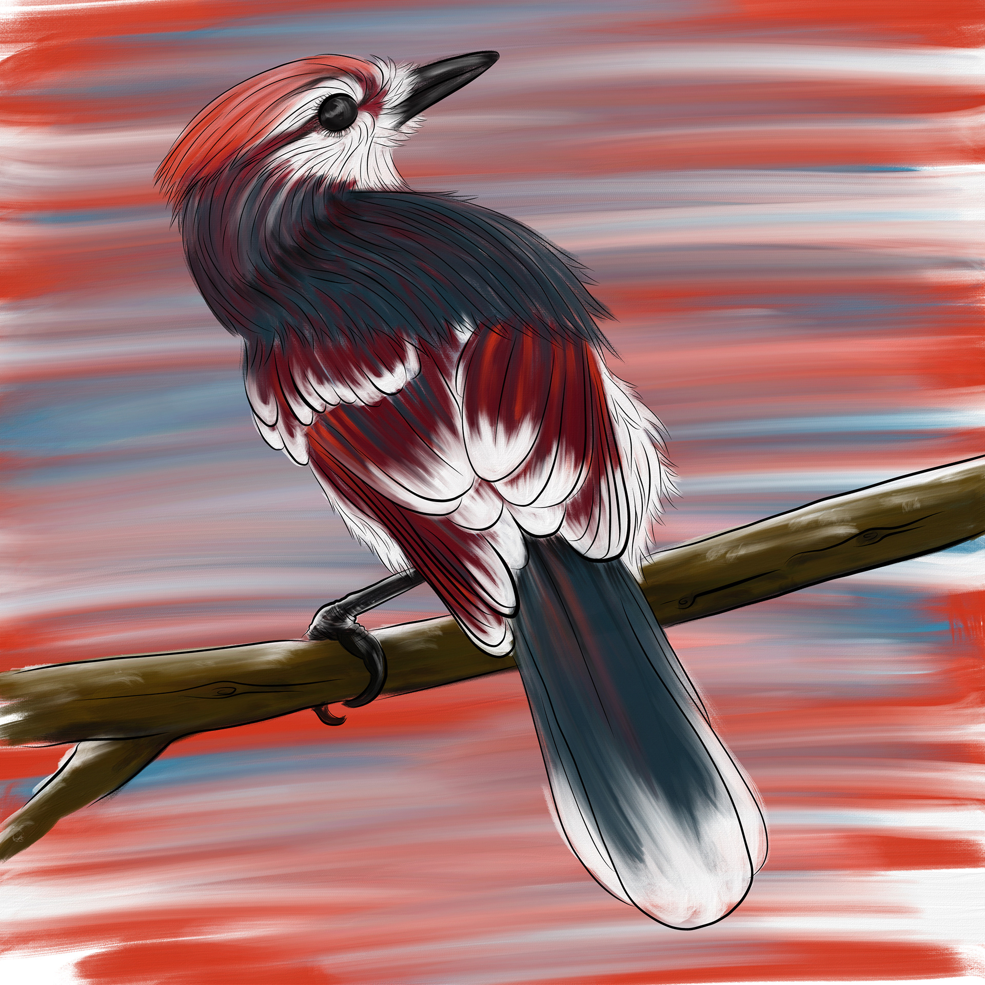 Bird digital illustration (2021) using Adobe Fresco