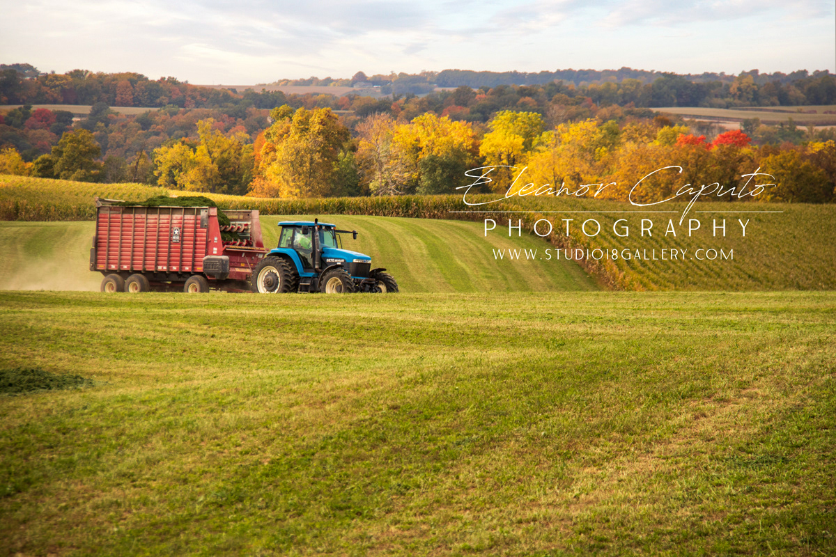 fall harvest north east Iowa 9409