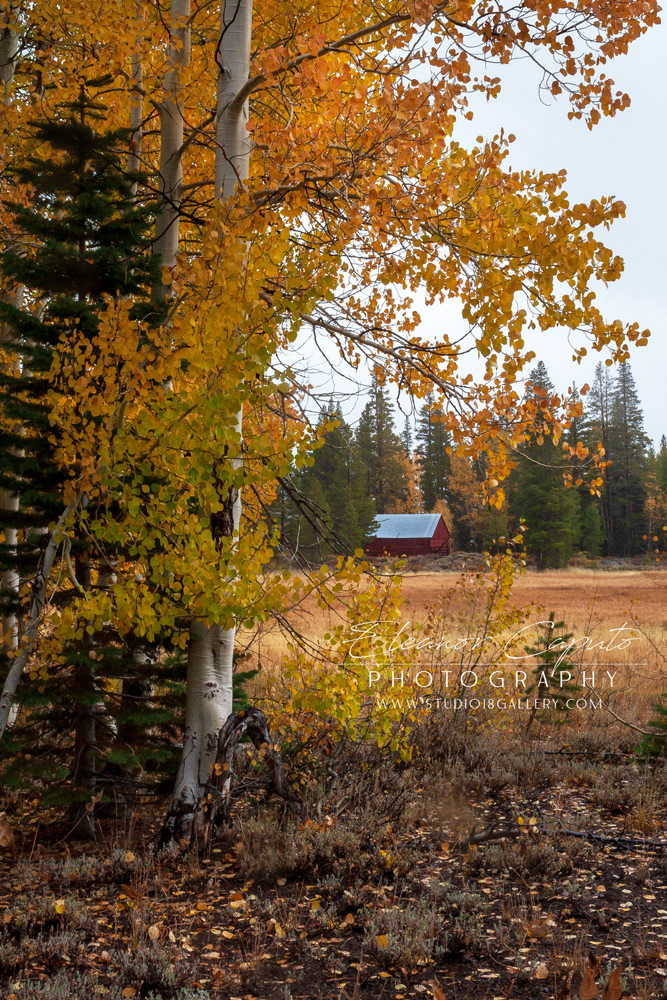 Red Lake Barn