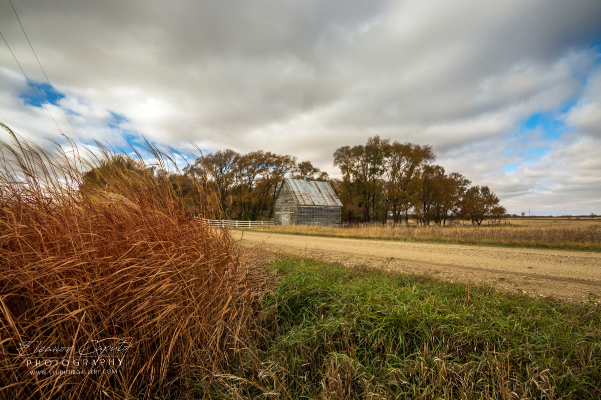 Fall Road 220 Eldora 0226