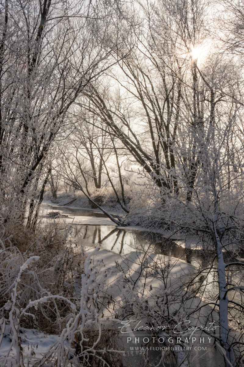 Frozen Creek Blackhawk Creek Park Morrison Iowa