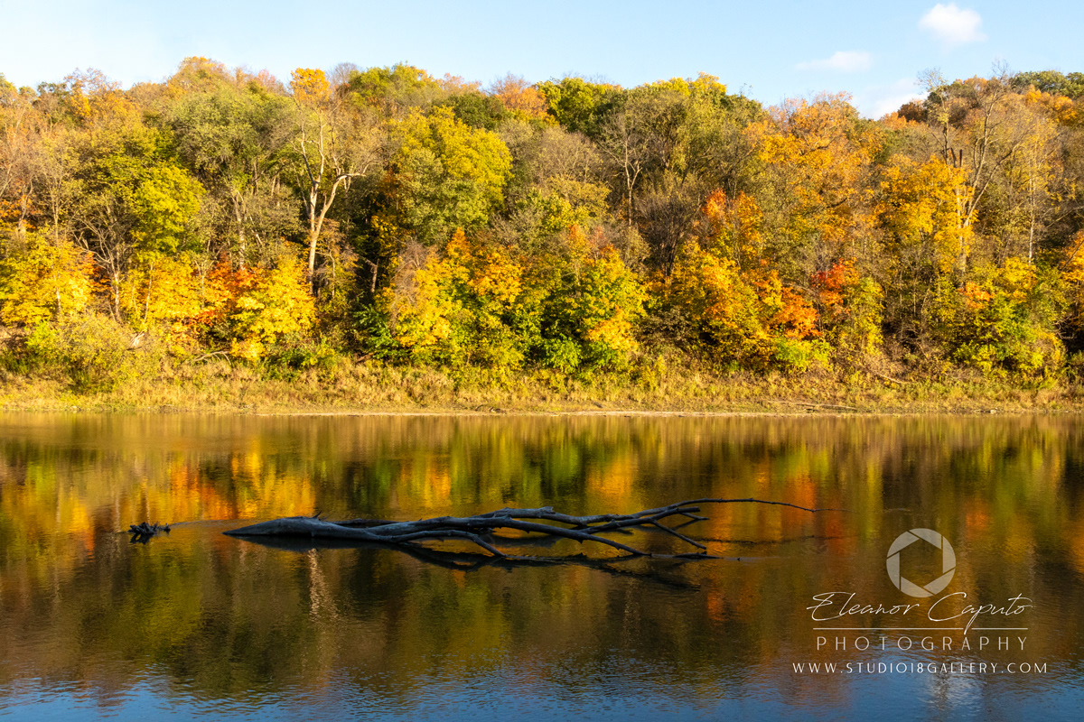 Dolliver-Park-0215