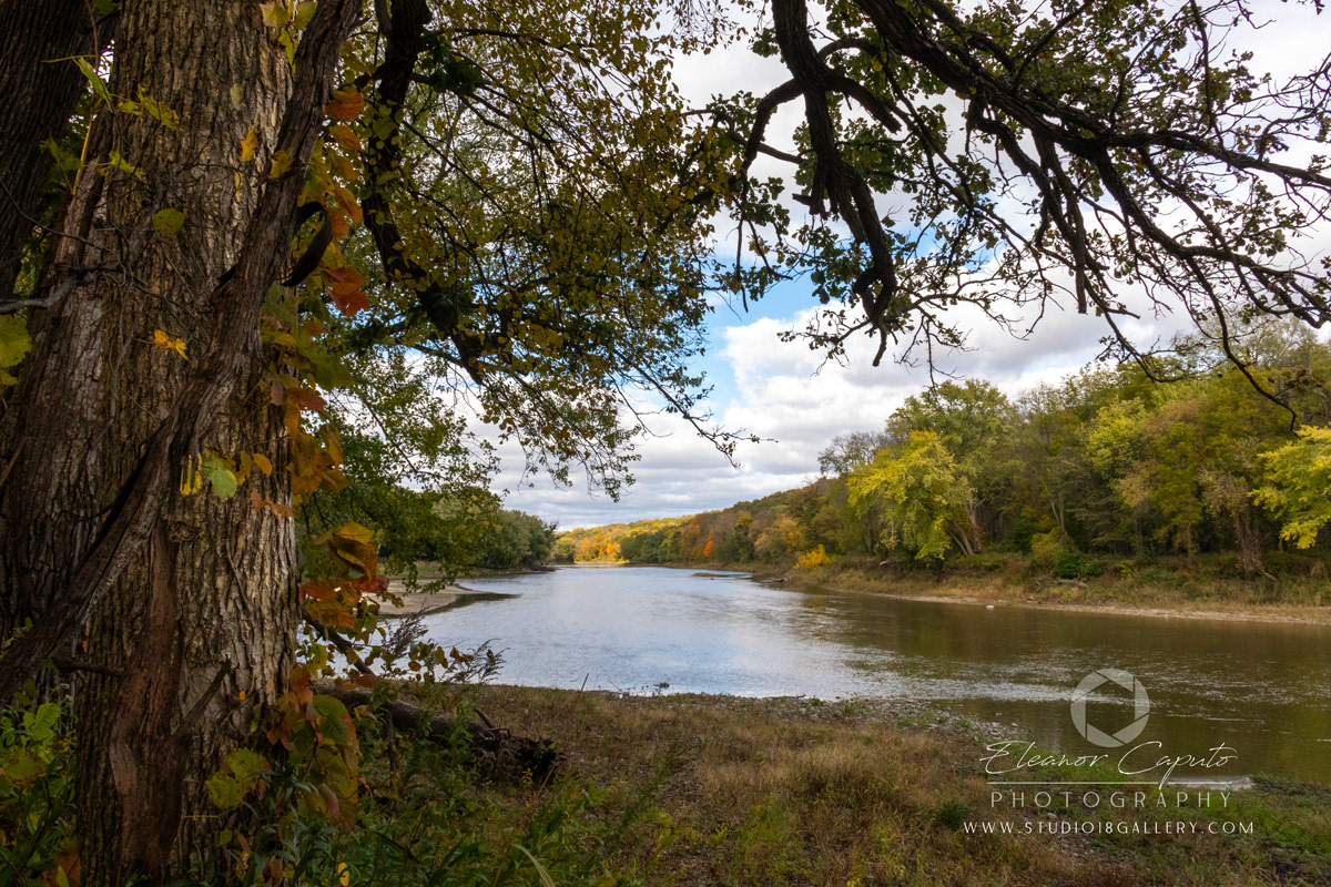 Dolliver-Park-0125