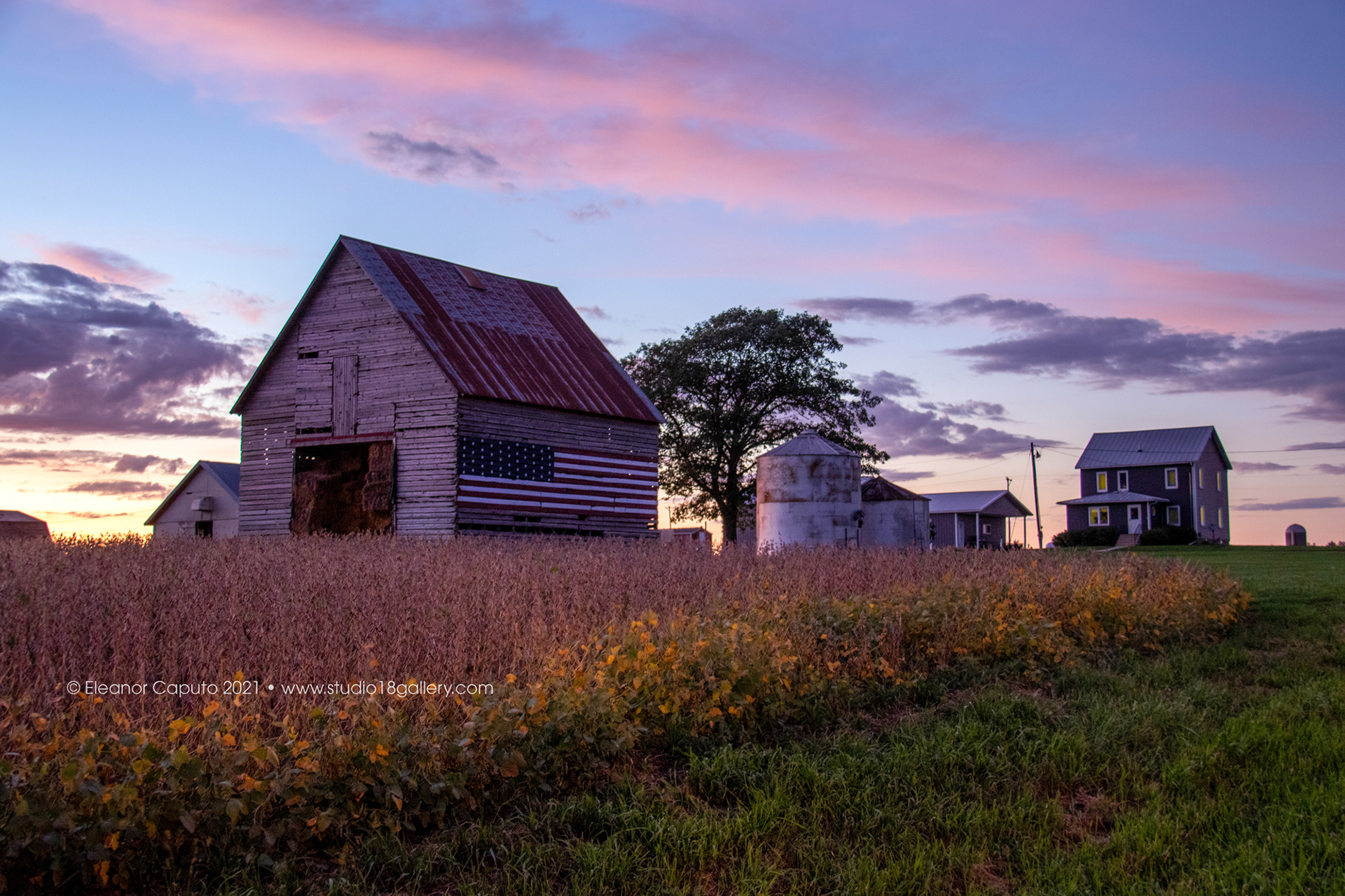 Tiffanie's Barn Tama 1166