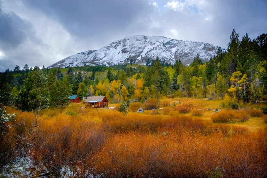 Hope Valley Cabin 3