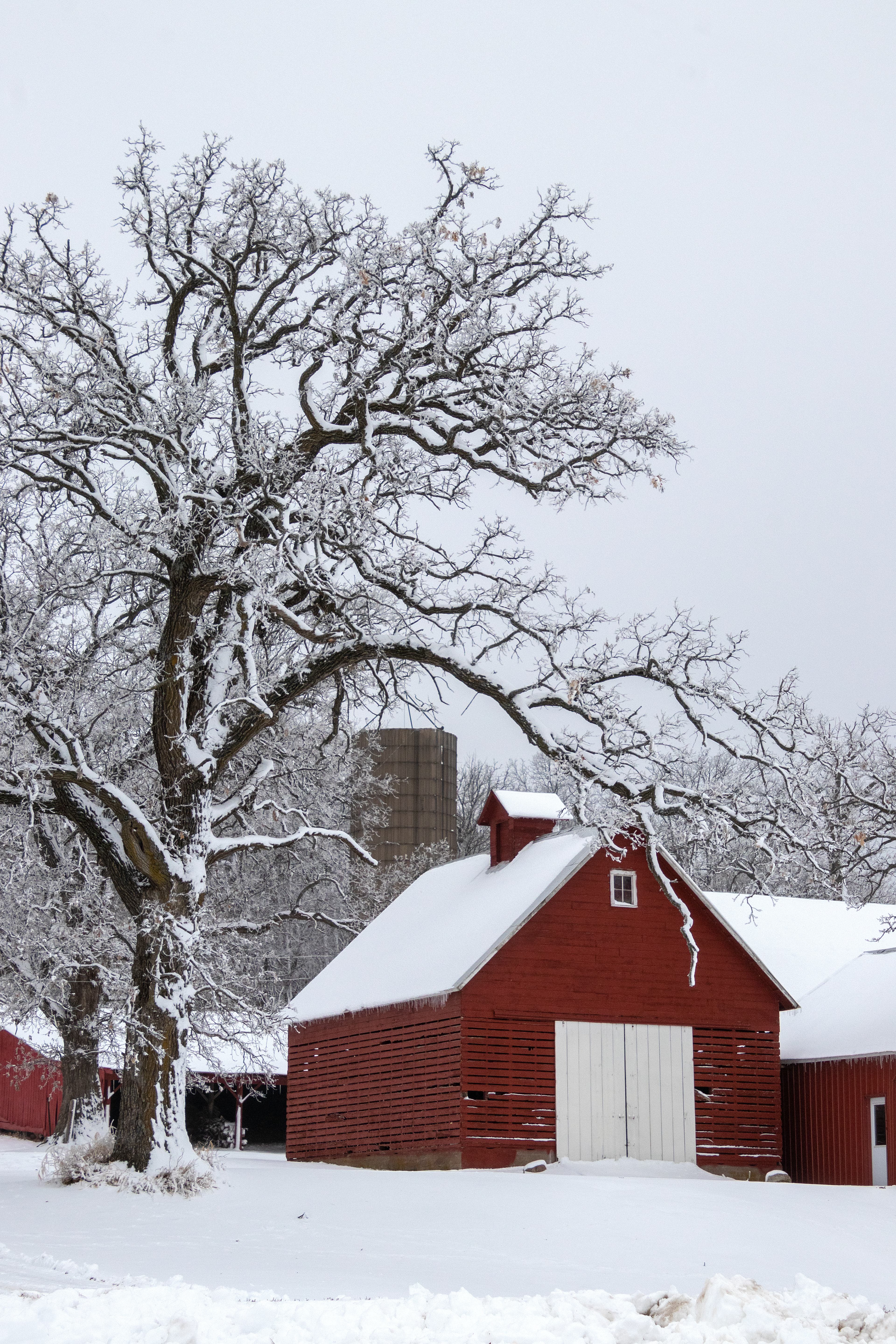 Red Barn Union Grove Lake 2011