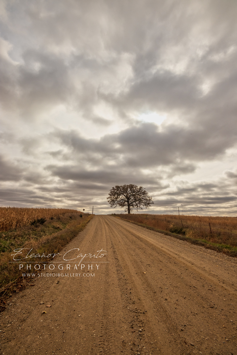 Lone tree gravel road Fall Eldora 0278