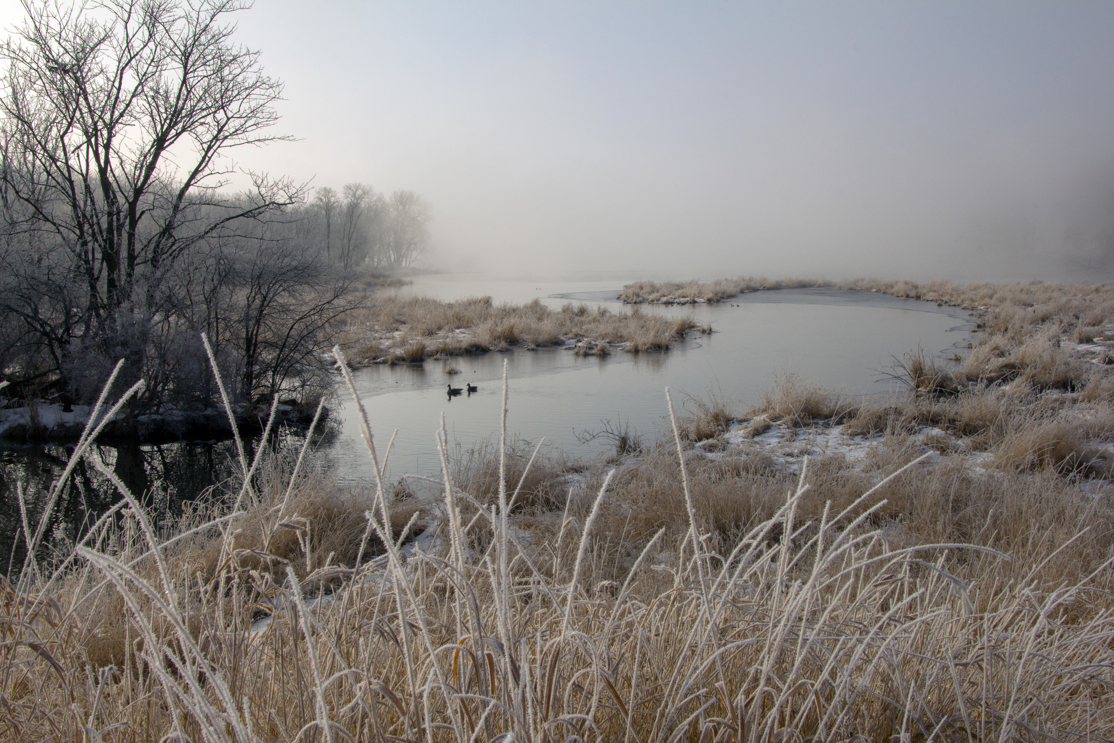 union grove marsh 2036
