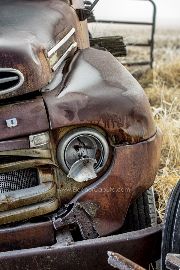 Old Ford Truck Grundy County, Iowa #102