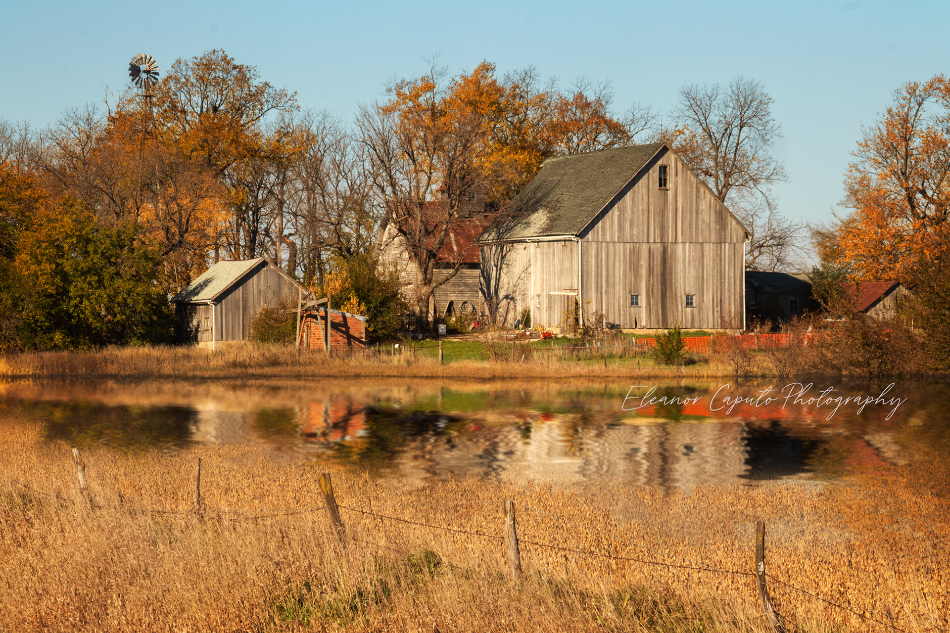 weathered barn food filter 2499