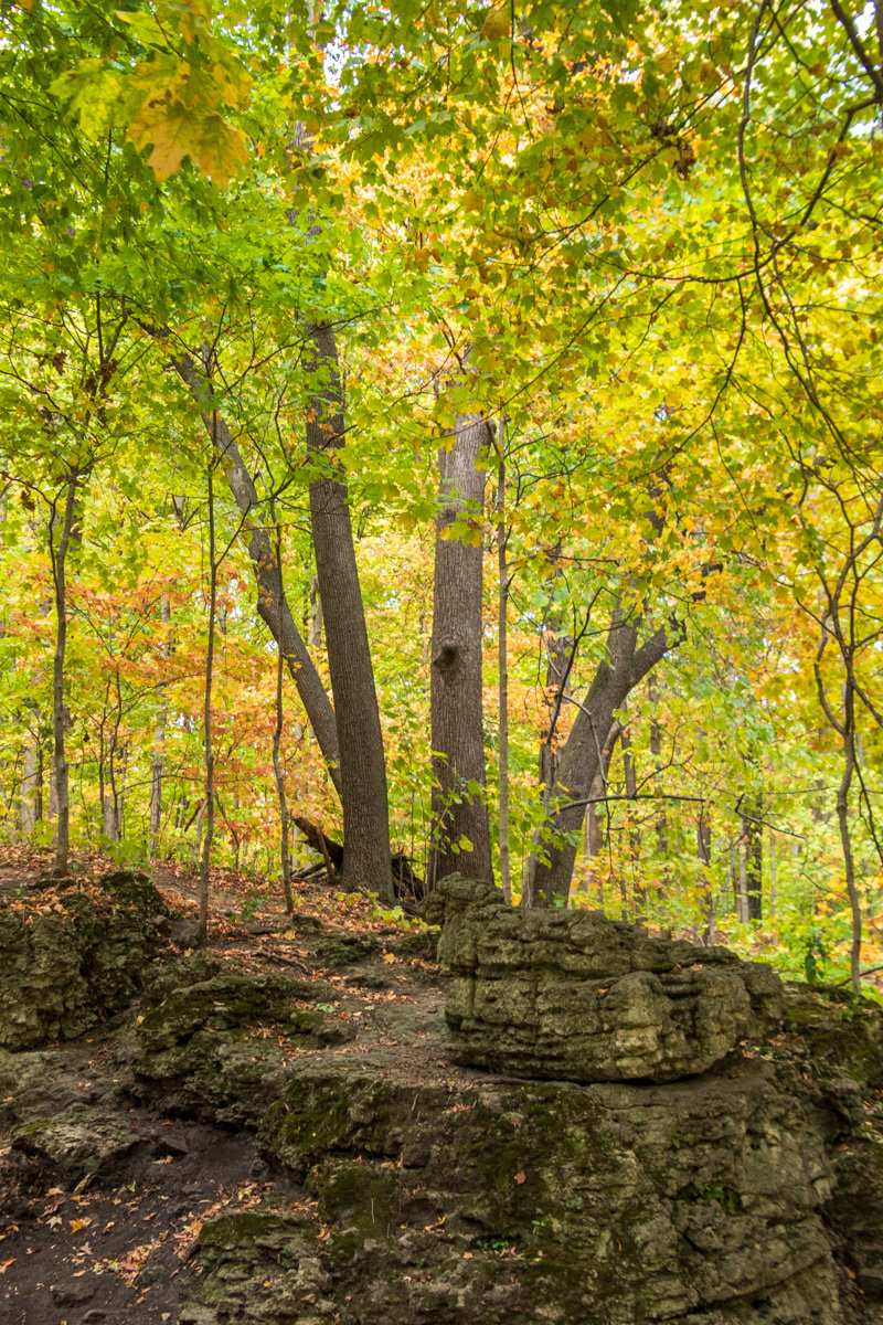 Palisades Kepler Park   IMG_0116