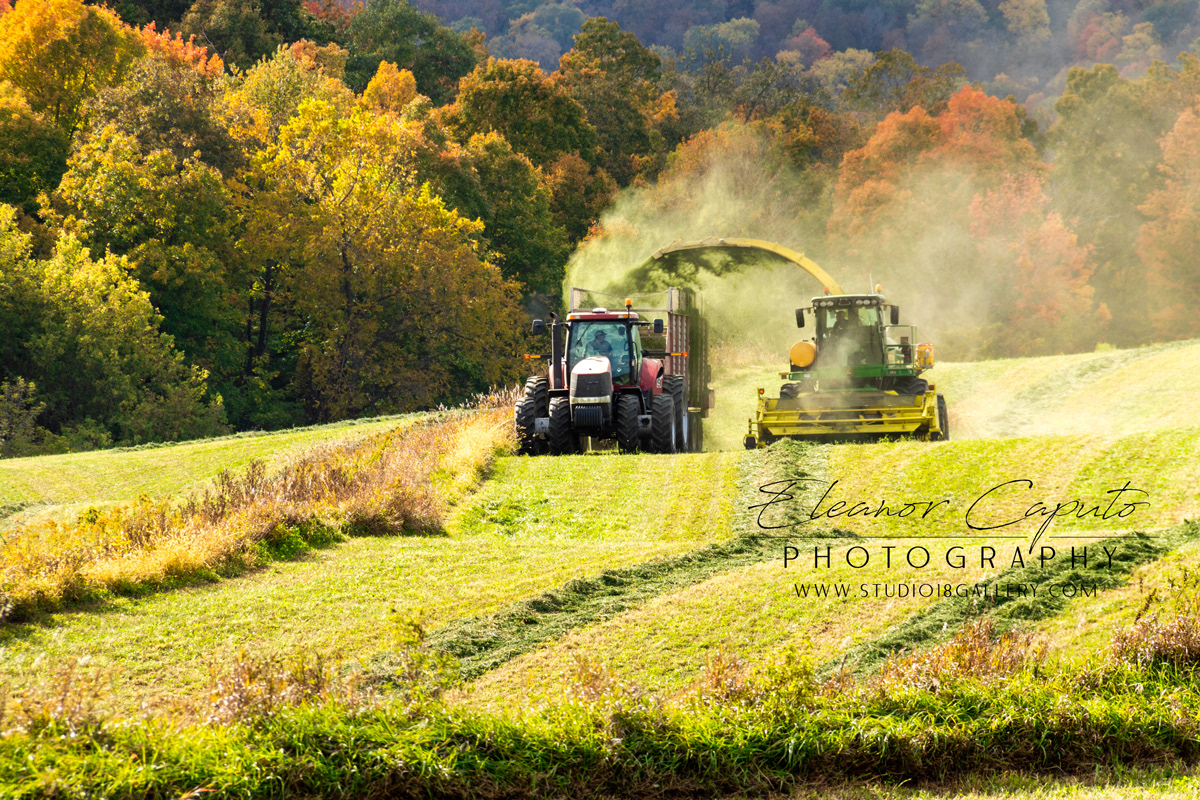 fall harvest north east Iowa 9449