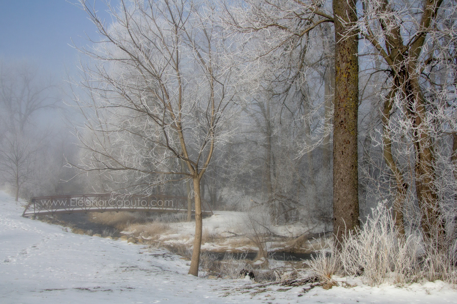 Union-Grove-lake-2165