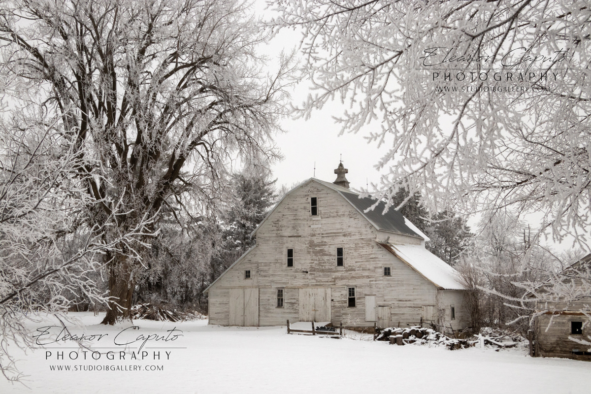 Weathered White barn hwy 96 Gladbrook Iowa #101