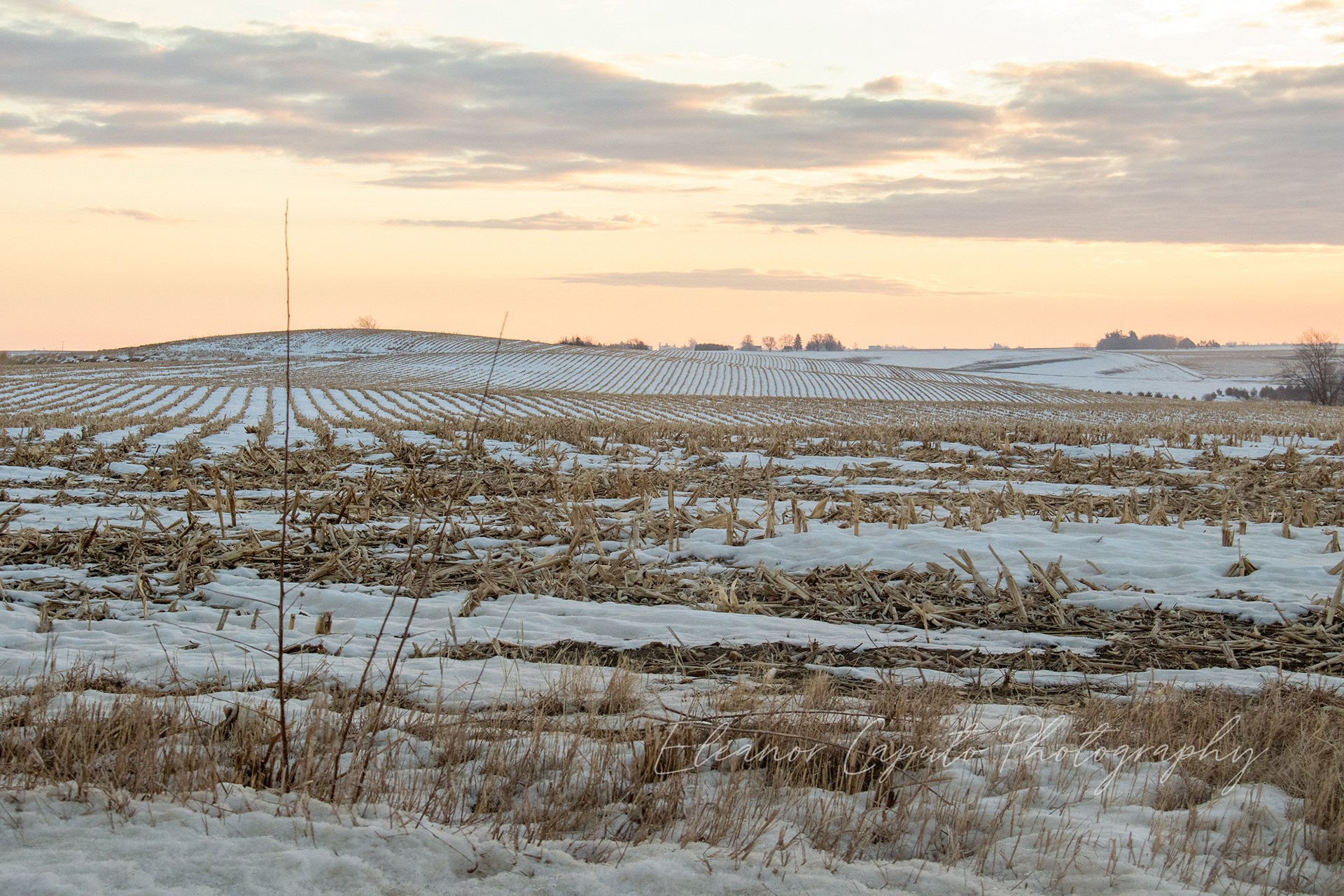 Snowy Harvested Field at sunset Beaman Iowa