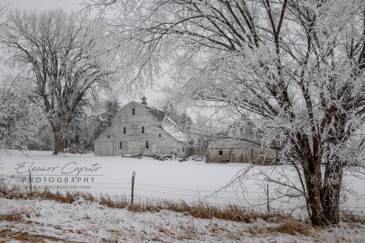 Weathered White barn hwy 96 Gladbrook Iowa #102