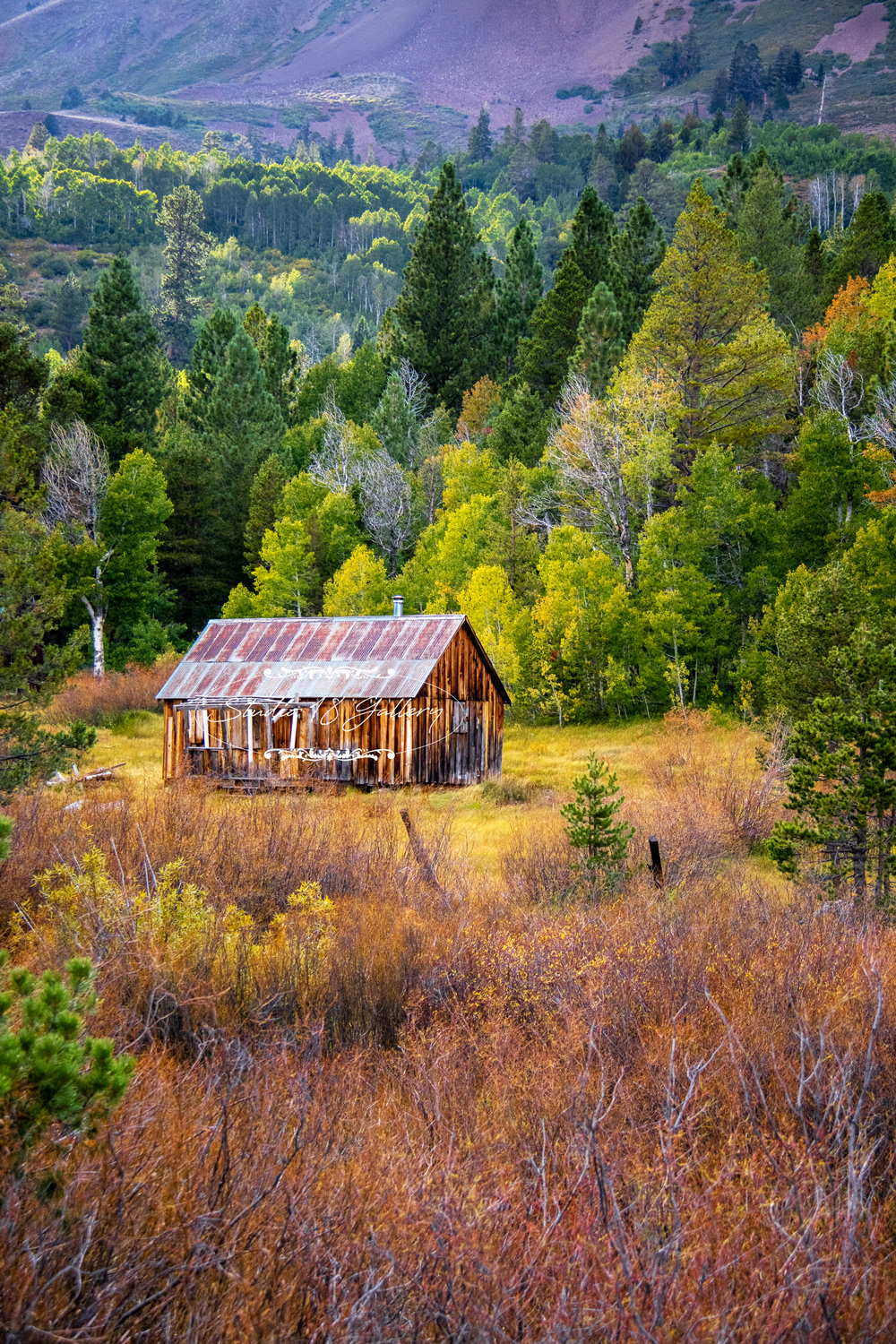 Hope Valley Cabin 1