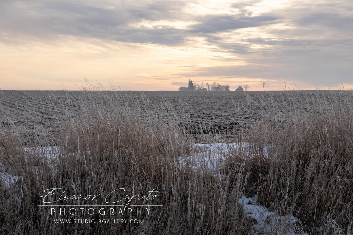 Frosty Field with grass and distant farm Beaman Iowa #101