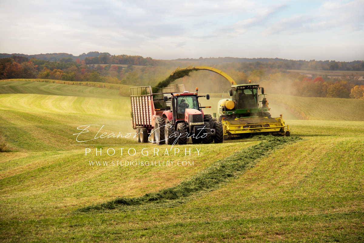 fall harvest north east Iowa 9422