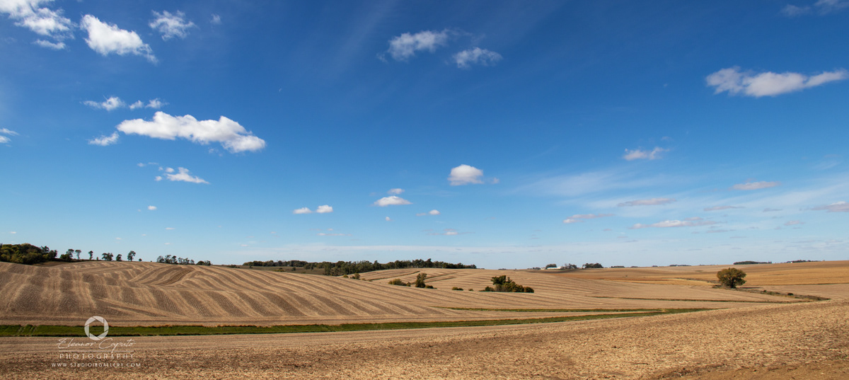 harvested land pano iowa 2023