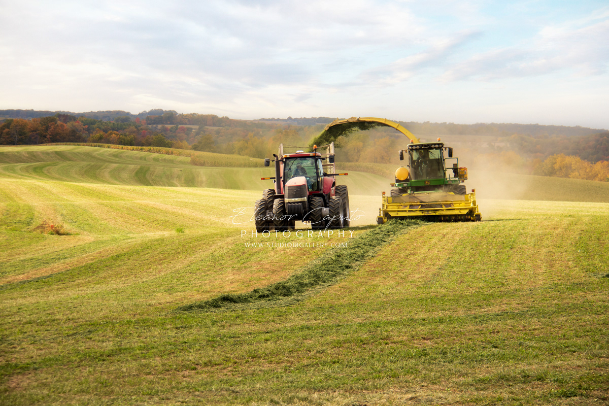 fall harvest north east Iowa 9424