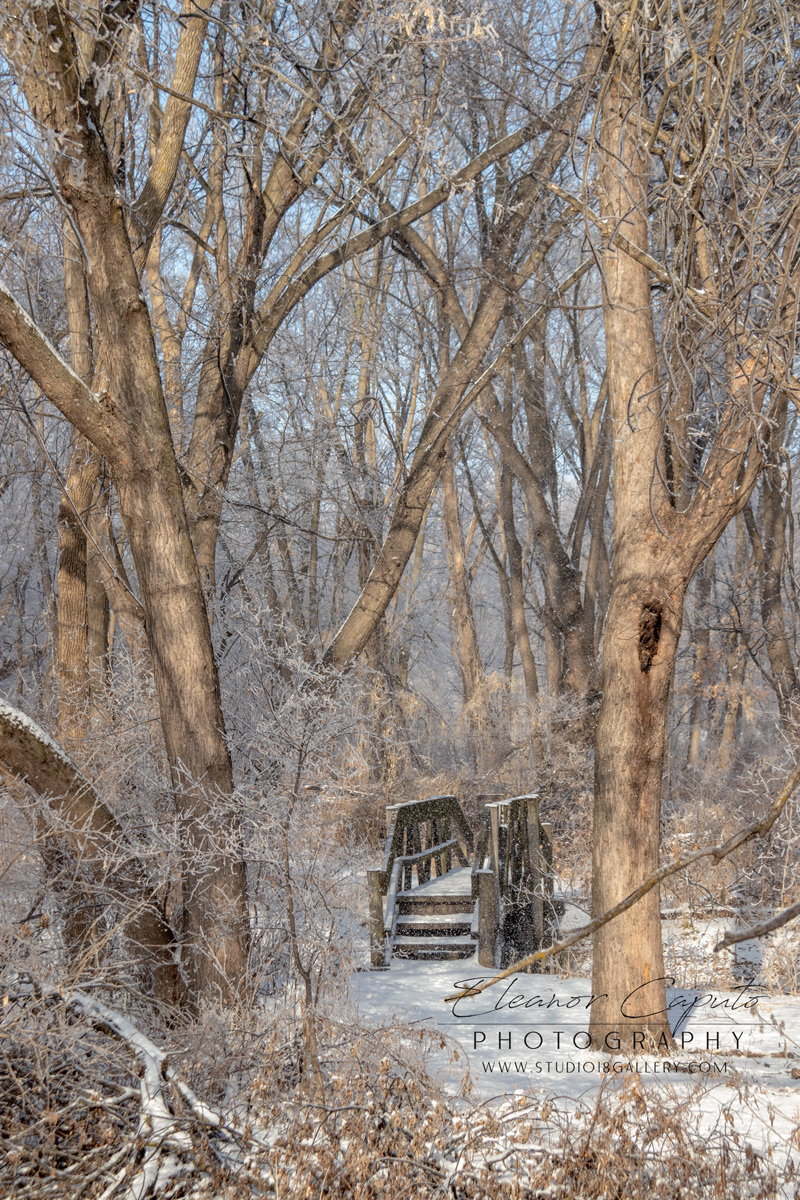Bridge at Blackhawk Creek Park Morrison Iowa 