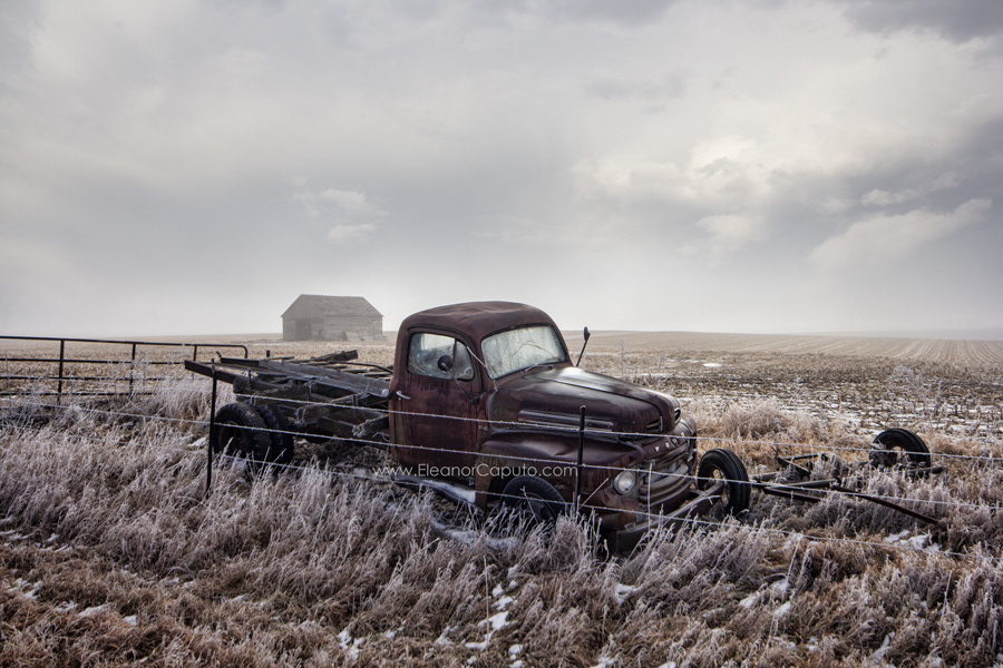 Old Ford Truck Grundy County, Iowa #101