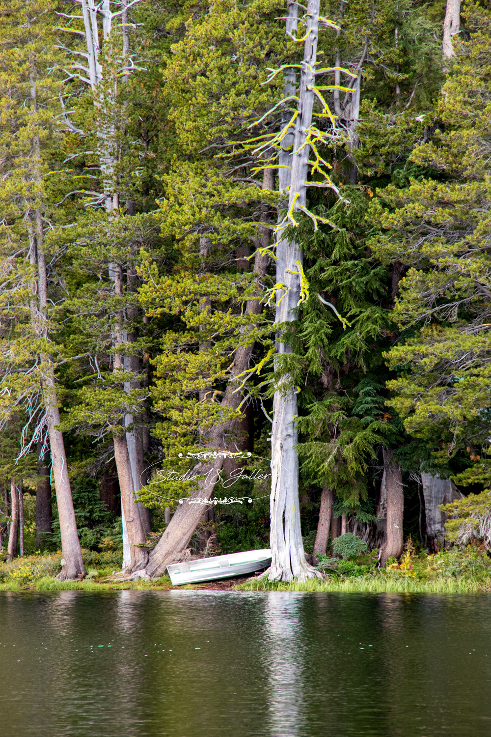 woods lake 4