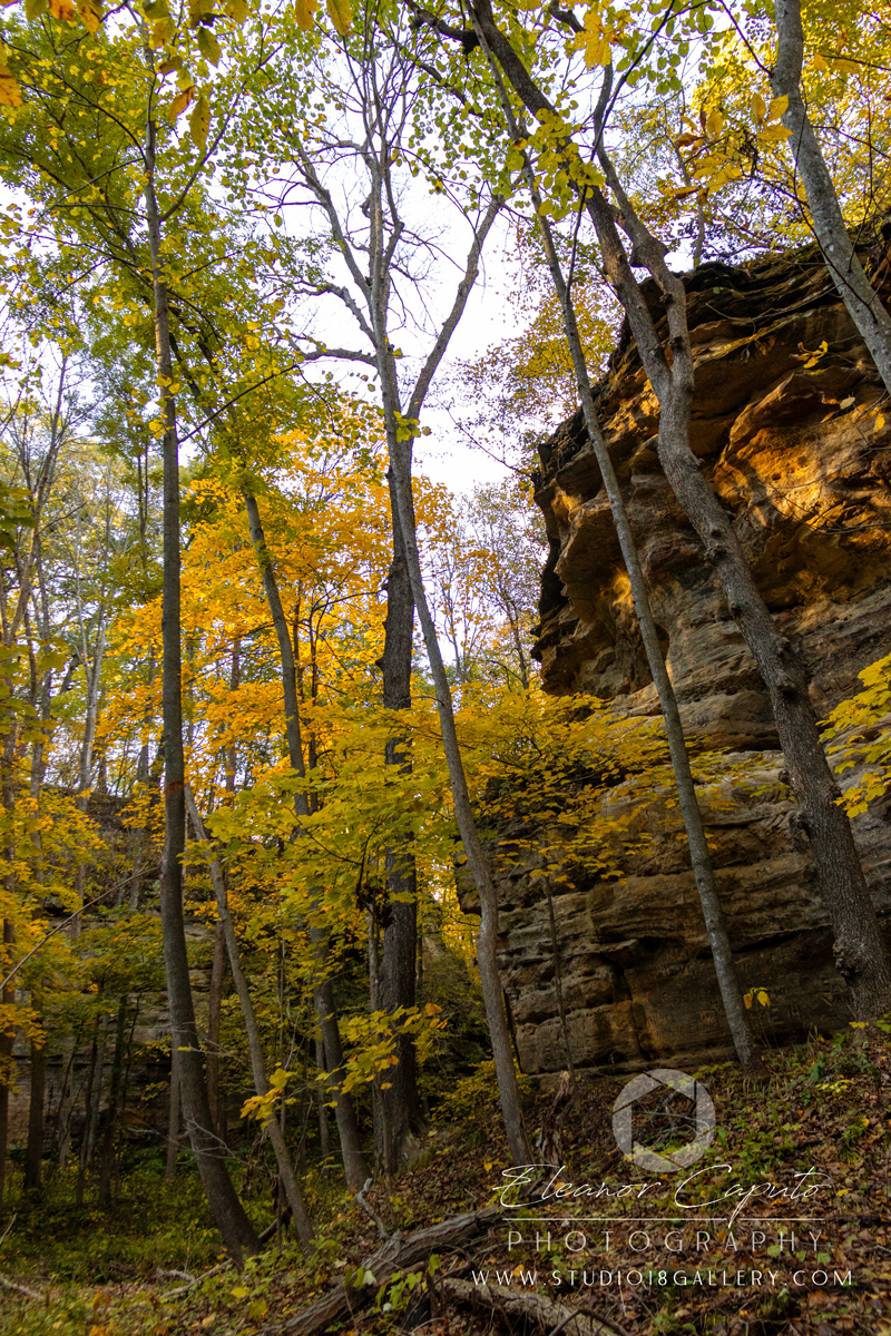 Dolliver-Park-0189