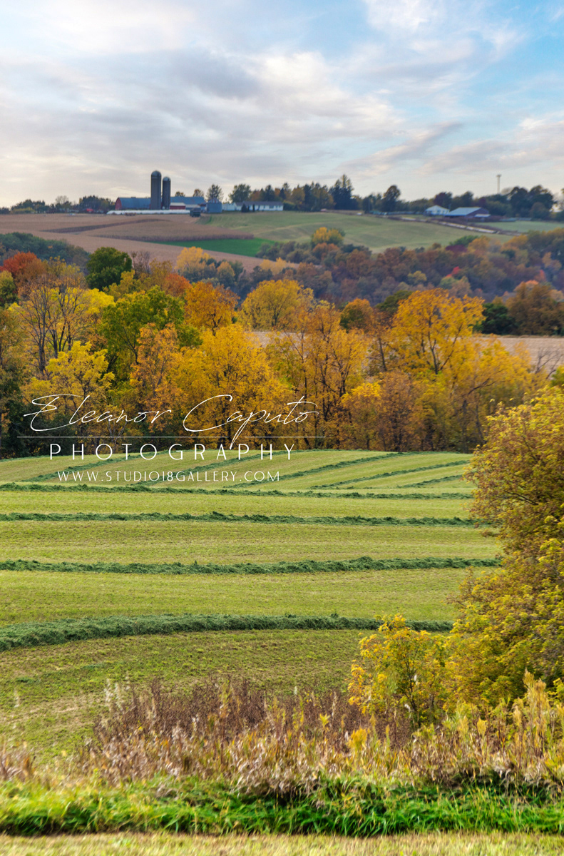 fall harvest north east Iowa 9456