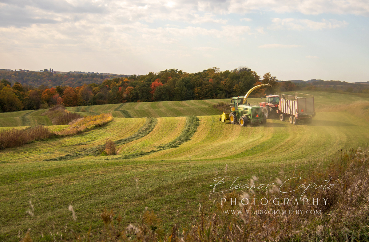 fall harvest north east Iowa 9432