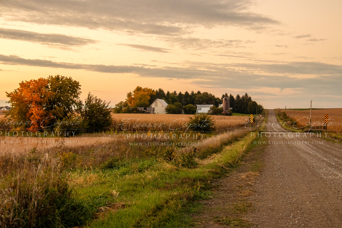 white farm gravel rd 150 north 9284