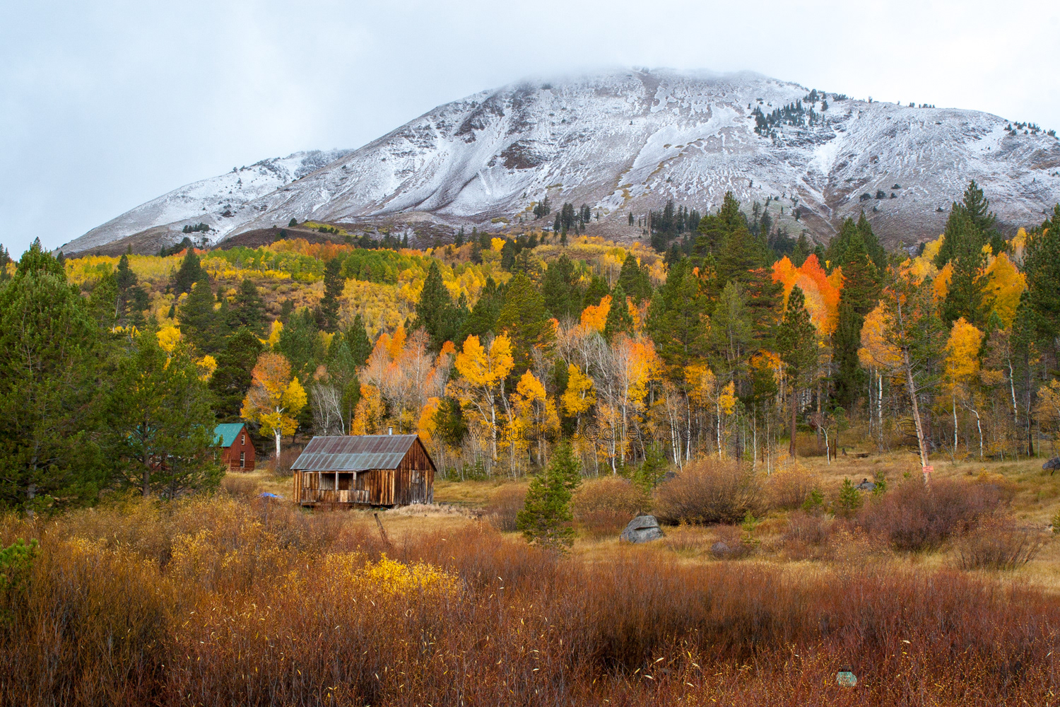 Hope Valley Cabin 5