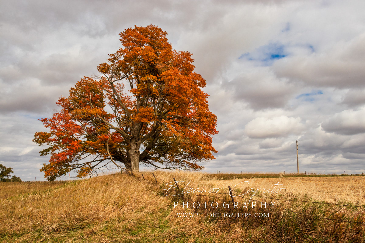 stagecoach road Grundy county 9752