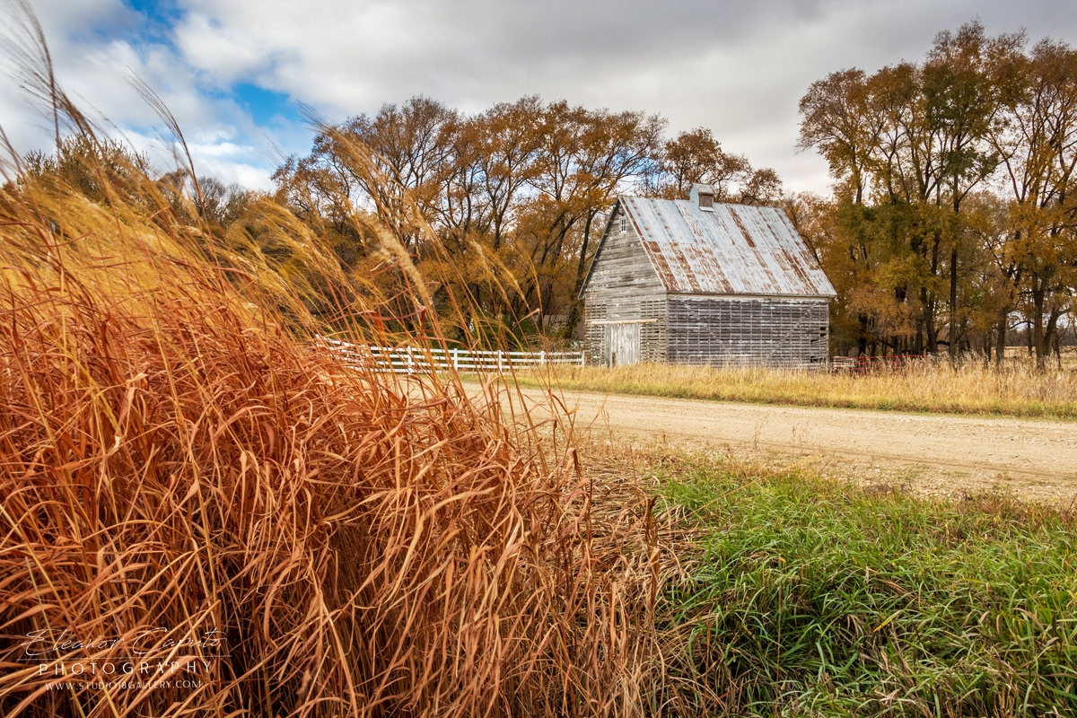 Fall Road 220 Eldora 0219